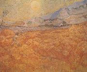 Wheat Field behind Saint-Paul Hospital with a Reaper (nn04) Vincent Van Gogh